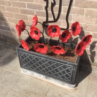 Photo of 12 red steel poppies in the planter at the base of the Tommy Silhouette
